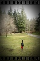 Camp03_IMG_4737